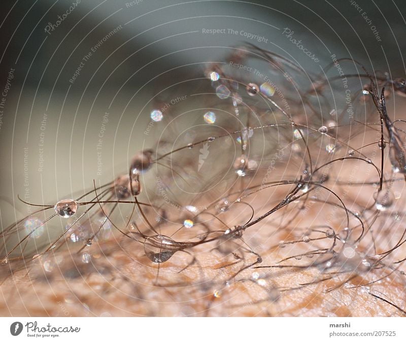 Pearls on your skin Human being Masculine Skin Hair and hairstyles Drops of water sparkling Light Blur Detail Close-up Colour photo Perspire Perspiring