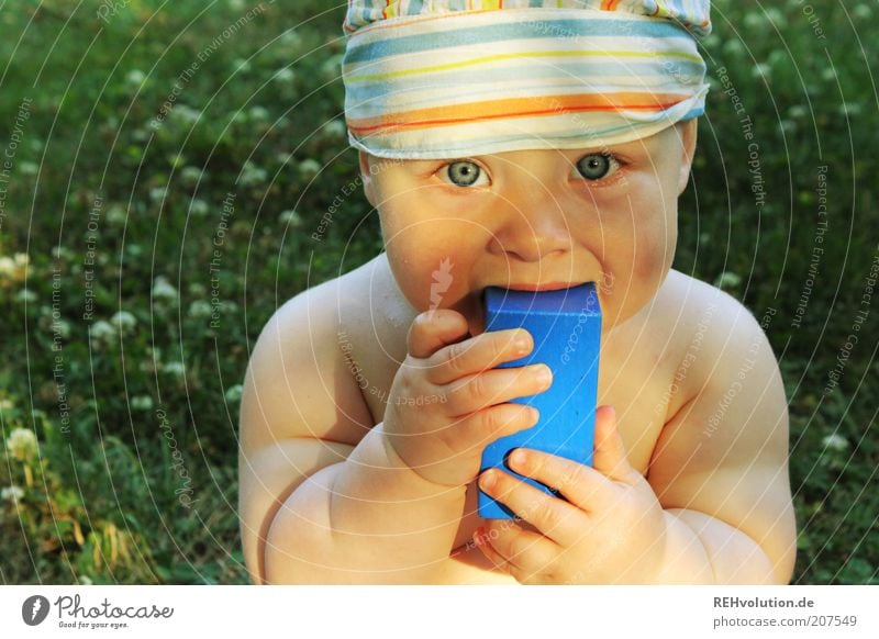 "Look at you." Human being Child Baby 1 0 - 12 months Eating Looking Headscarf Cap Naked Baby eyes Meadow Summer Multicoloured Lick Toy building bricks Playing