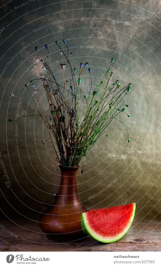 still life Food Fruit Melon Water melon Art Plant Poppy Poppy capsule Still Life Vase tonvase Esthetic Brown Green Red Emotions Colour photo Interior shot