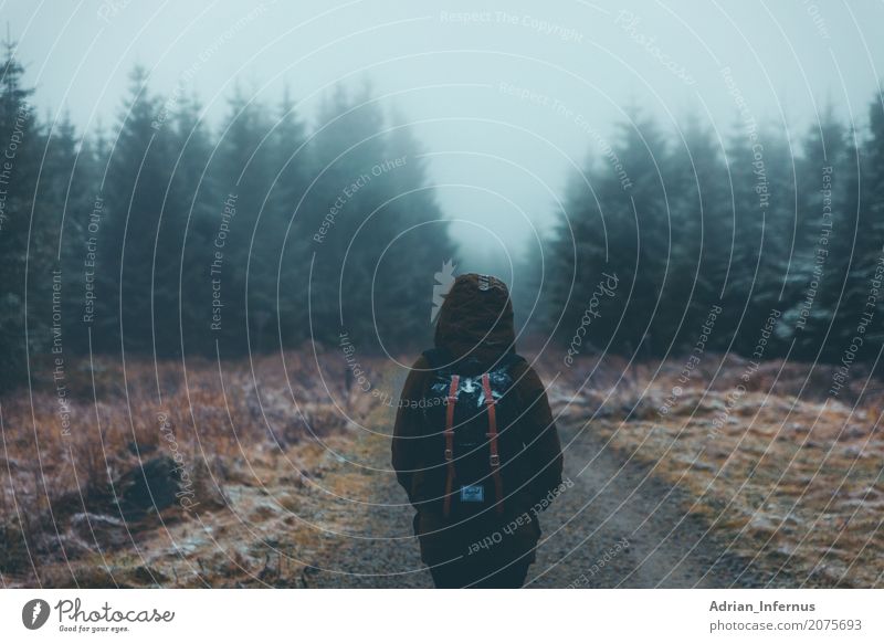 Girl In The Fog Human being Feminine Young woman Youth (Young adults) Woman Adults 1 18 - 30 years Environment Nature Landscape Plant Earth Sky Clouds Autumn