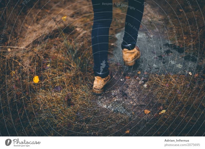 Autumn Hike Human being Young woman Youth (Young adults) Legs Feet 18 - 30 years Adults Environment Nature Bad weather Fog Rain Endurance mood hike shoes