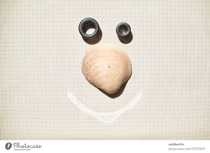 face Face Mussel Mussel shell Shell Armor-plated Sheath Shell-bearing mollusk Whimsical Joke Eyes Nose Mouth Portrait photograph Animal portrait Looking