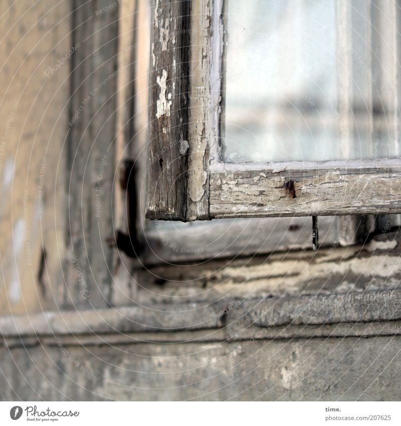 Lifelines #14 House (Residential Structure) Wall (barrier) Wall (building) Window Varnish Wood Glass Old Broken Old building Open Windowsill Derelict Weathered