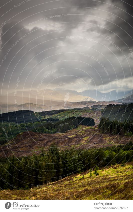 Panoramic view at Loch Alsh in Scotland Clouds Ledge coast Lakeside River bank Summer Landscape Rock Bay Plant Fjord Island Europe Exterior shot Subdued colour