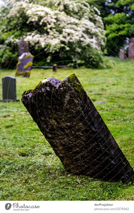 Gravestone on cemetery on the Isle of Skye III Ruin Crucifix Peace Cemetery Central perspective Copy Space middle Great Britain Tourism Vacation & Travel Hiking