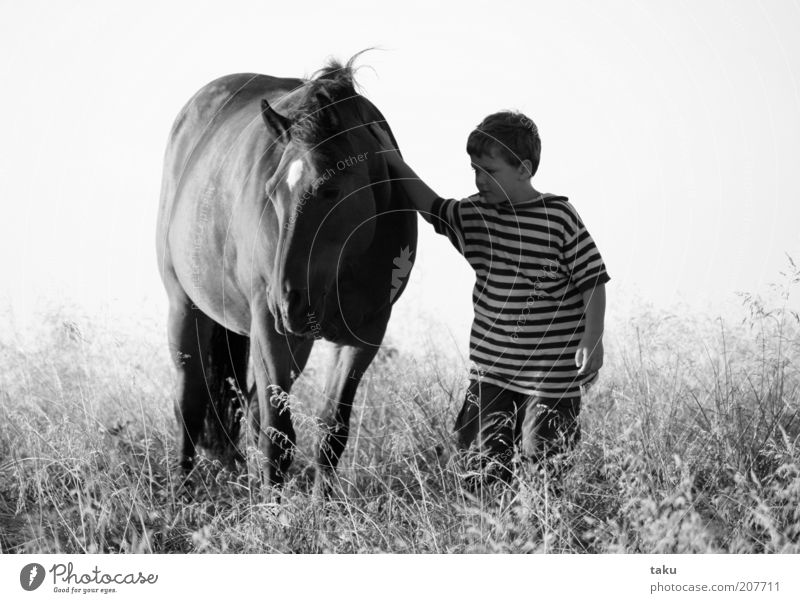 KAI & NATHANEL Vacation & Travel Trip Adventure Freedom Summer Parenting Child Human being Masculine 3 - 8 years Infancy Nature Landscape Sky Beautiful weather