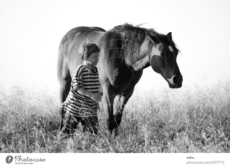 KAI & NATHANEL I Adventure Freedom Summer Child Beautiful weather Grass Horse Going Authentic Together Power Passion Acceptance Trust Safety Safety (feeling of)