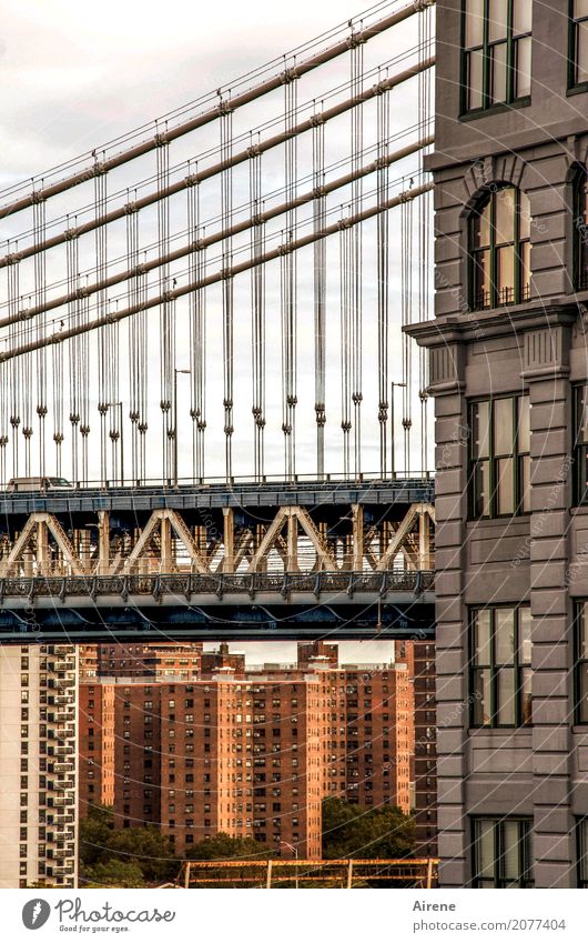 It's underneath... Sightseeing City trip New York City Manhattan Town Downtown Skyline High-rise Bridge Suspension bridge Tourist Attraction Manhattan Bridge