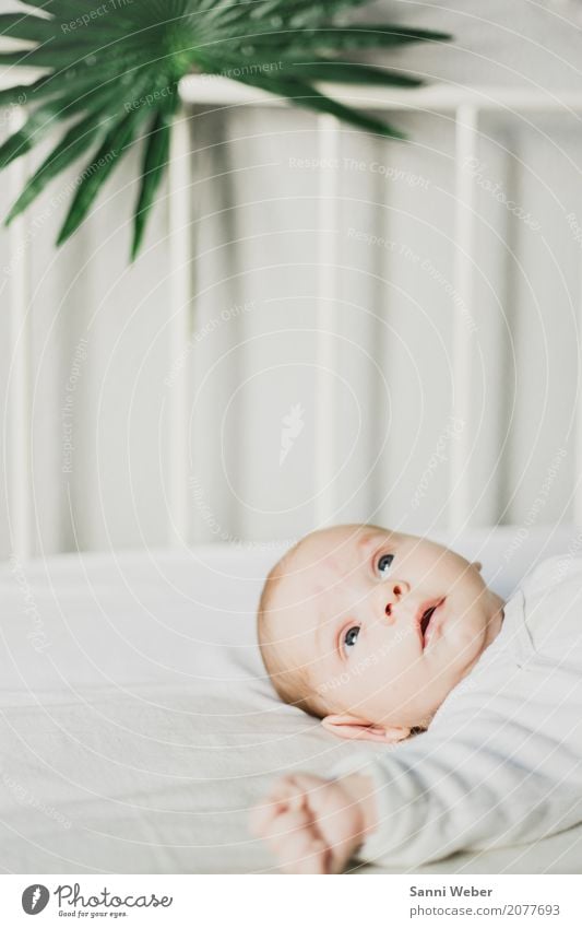 babyboy Human being Masculine Baby Boy (child) Infancy Body Skin Head Hair and hairstyles Face Eyes Ear Nose Mouth Lips Arm Hand Fingers 1 0 - 12 months Lie