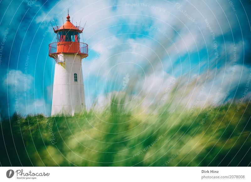 Lighthouse in List on Sylt Vacation & Travel Trip Far-off places Freedom Beach Ocean Island Nature Beautiful weather Plant Grass Wild plant Coast North Sea Blue