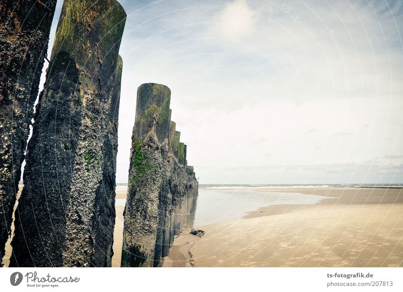 You wanna go on up there? Vacation & Travel Tourism Far-off places Summer Summer vacation Beach Ocean Elements Sand Water Sky Clouds Beautiful weather Coast