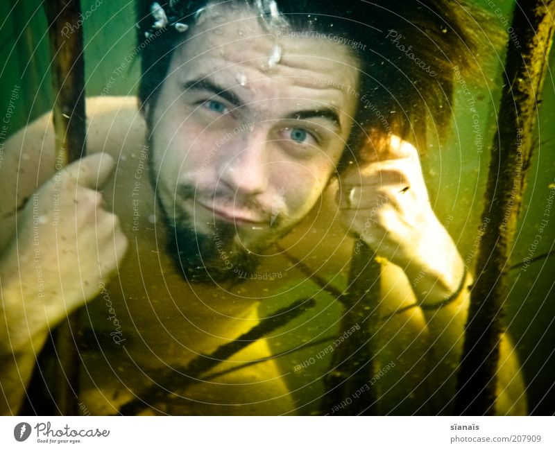 sea lion Masculine Young man Youth (Young adults) Man Adults Water Common Reed Captured Convict Puppydog eyes Go under Sigh Funny Colour photo Underwater photo