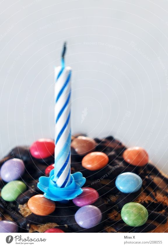 Candle off Food Dough Baked goods Cake Candy Chocolate Nutrition Delicious Round Sweet Chocolate buttons Colour photo Multicoloured Interior shot Studio shot