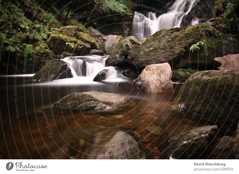 Killarney waterfalls Life Relaxation Calm Vacation & Travel Mountain Nature Landscape Plant Water Spring Summer Moss Rock River bank Waterfall Green White