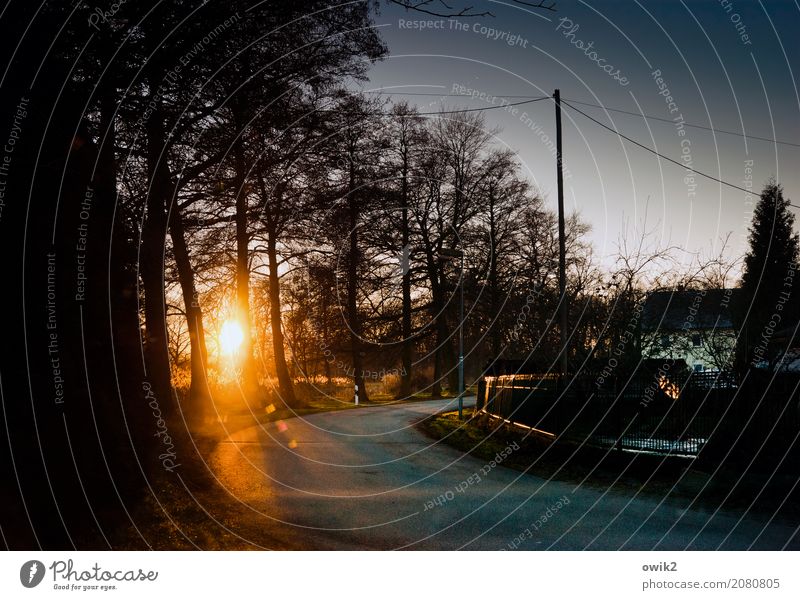 behind the curve Environment Landscape Cloudless sky Winter Beautiful weather Tree Bushes Twigs and branches Village Garden fence Electricity pylon Cable