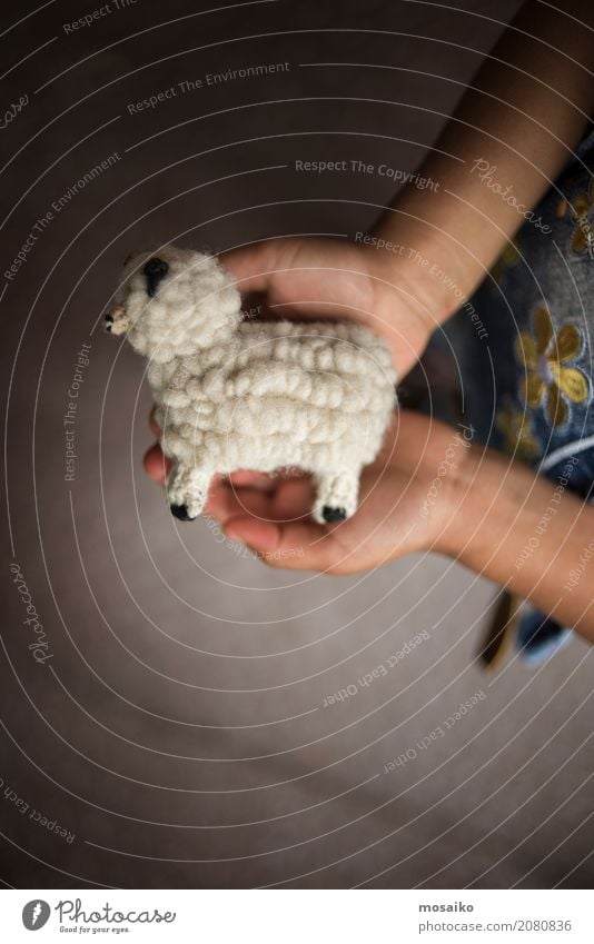 Child keeps small wool sheep Parenting Education Kindergarten Study Infancy Hand 3 - 8 years Leisure and hobbies Joy Help Hope Creativity Wool Sheep Toys Knit