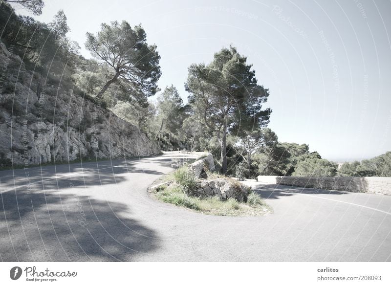 Hungry picture Cloudless sky Sunlight Summer Beautiful weather Warmth Tree Stone pine Mountain Relaxation Hot Blue Calm Tourism Environment Lanes & trails