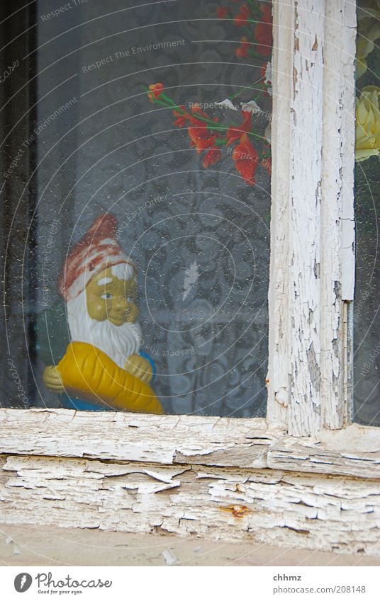 carrot Plant Window Wood Glass Old Kitsch Trashy Gloomy Peace Idyll Garden gnome Lattice window Varnished Plastic Pottery Carrot Curtain Drape Living room