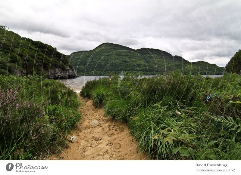 Lough Leane Nature Landscape Plant Water Sky Clouds Spring Summer Wind Grass Rock Mountain Bay Lake Green White Ireland Lanes & trails Overgrown Bad weather