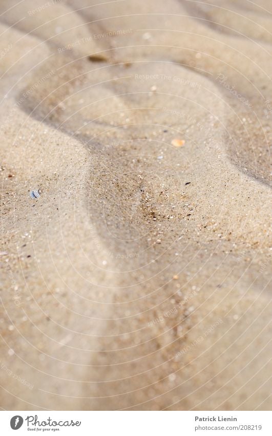 Sand ripple [2] Environment Nature Landscape Elements Earth Coast Beach Esthetic Beautiful Ripple Formation Forwards Colour photo Detail Deserted Day Contrast