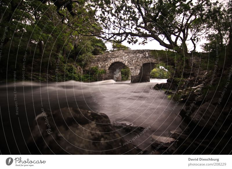 Owengarriff River Nature Landscape Plant Autumn Tree Forest Rock River bank Green Ireland Motion blur Vacation & Travel Bridge Stone bridge Old Flow Arch