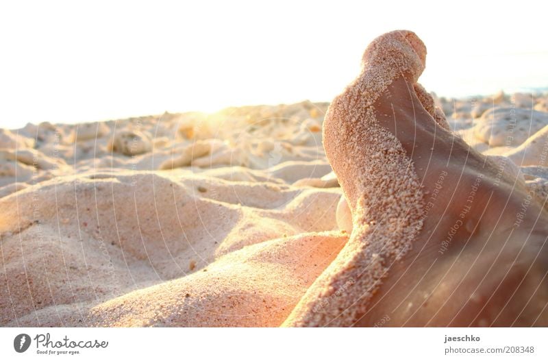 Sitting, Waiting, Wishing Feet Summer Beautiful weather Beach Sand Relaxation Lie Authentic Free Contentment Serene Vacation & Travel Grain of sand