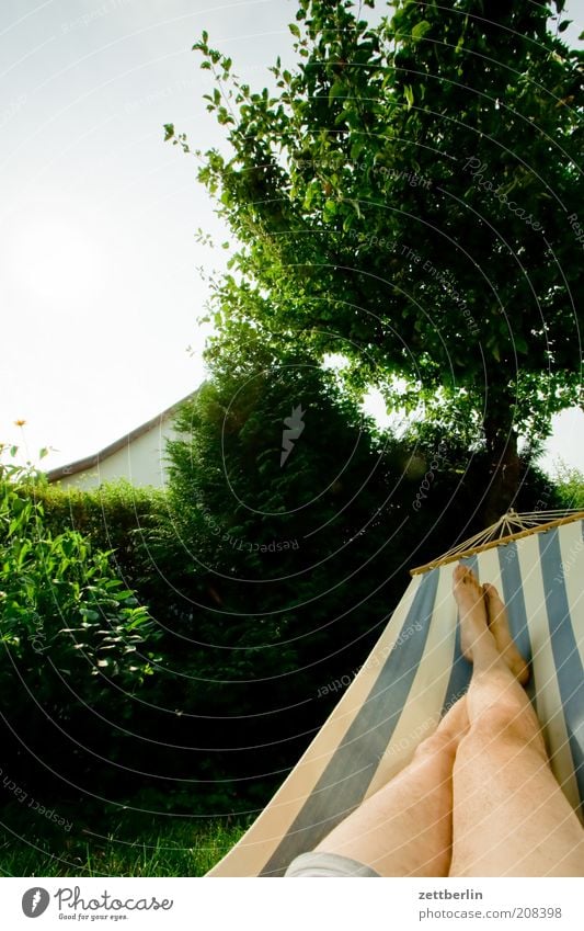 hammock Human being Man Adults Legs Feet 1 Lie June Hammock Garden Tree Apple tree Garden plot Garden allotments Calm Vacation & Travel Relaxation Sleep