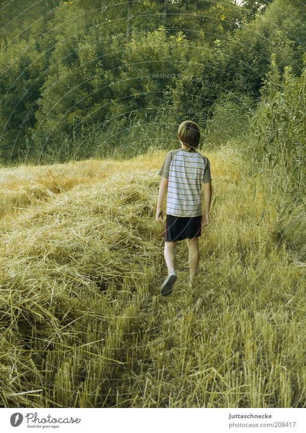 On the way to the tree house Grain Masculine Boy (child) Infancy 1 Human being 8 - 13 years Child Environment Nature Summer Beautiful weather Agricultural crop