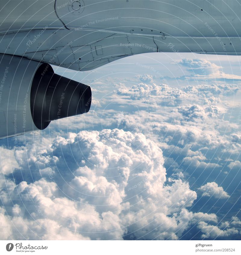 tomato juice, please! Engines Gear unit Technology Aviation Flying Airplane Means of transport Clouds Above the clouds Window seat Vacation & Travel