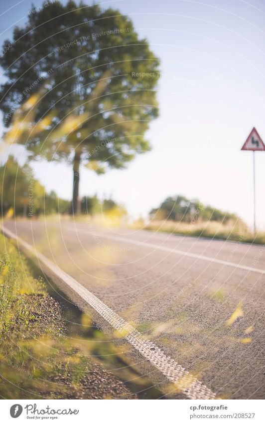 country roads Trip Far-off places Freedom Nature Plant Cloudless sky Sun Summer Tree Grass Bushes Street Pavement Street boundary Street sign Curve