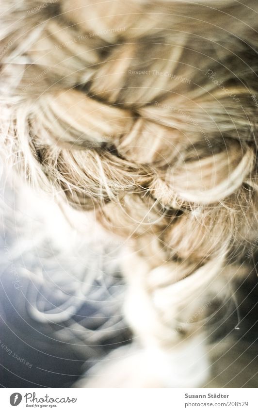 wattle Hair and hairstyles Blonde Braids Natural Cute Beautiful Plaited French plait wickerwork Network Attachment Strand of hair Elastic hairband Bond