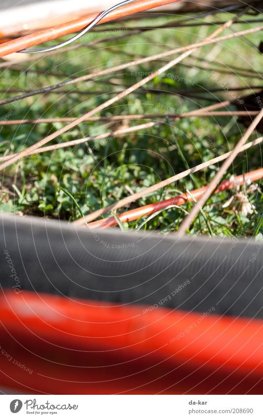 (d)Cycling donkey Bicycle Lie Old Red Spokes Colour photo Exterior shot Close-up Detail Deserted Day Blur Shallow depth of field Section of image Wheel