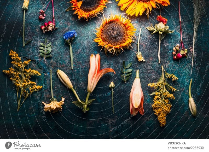 Autumn flower composing on dark background Style Design Nature Plant Summer Flower Leaf Blossom Decoration Bouquet Yellow Arranged Composing Sunflower