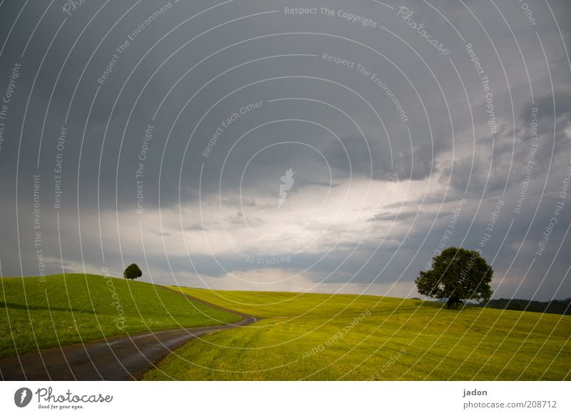 You wanted to shut it down, didn't you? Harmonious Relaxation Summer vacation Landscape Plant Storm clouds Horizon Bad weather Tree Field Esthetic Green