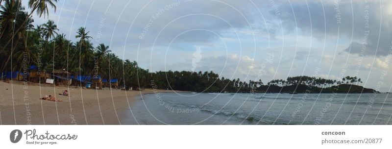 Clouds in Paradise (Panorama India) Palm tree Summer Beach Green Physics Arabian Sea Infinity Goa Bay Sun Virgin forest Warmth Hide Paradise Beach Palolem Beach