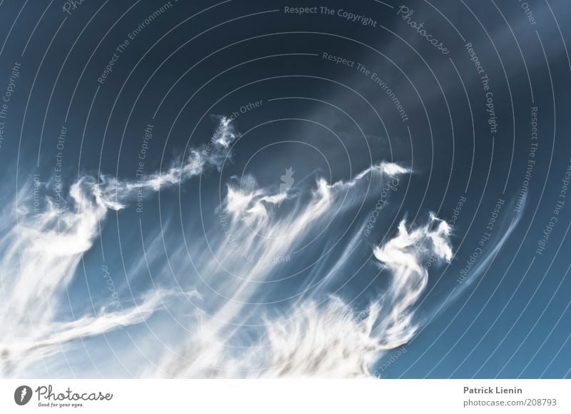 smoke in the sky Environment Nature Sky Sky only Clouds Climate Weather Beautiful weather Wind Breathe Observe Discover To enjoy Smoking Esthetic Exceptional