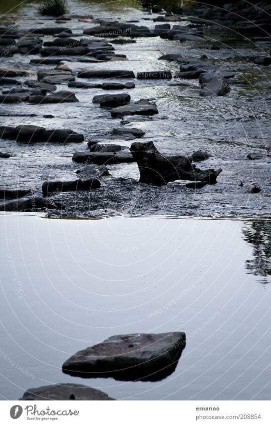 swell threesomely Environment Nature Water Climate Weather Tree River bank Lake Brook Wet Dreisam Freiburg im Breisgau Stone Flow Tree trunk Body of water Waves