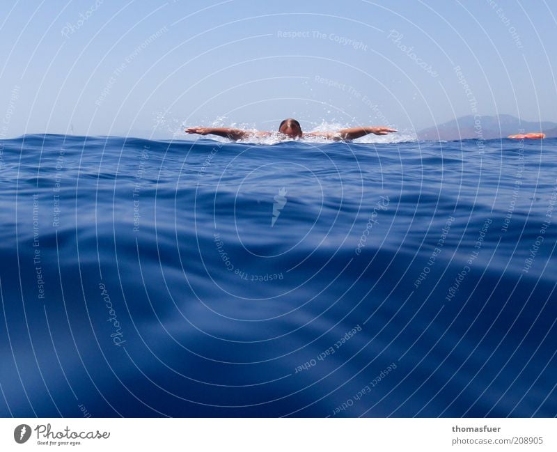 butterfly Summer vacation Ocean Waves Sportsperson Human being Man Adults Head Arm 1 Water Cloudless sky Beautiful weather Baltic Sea Swimming & Bathing