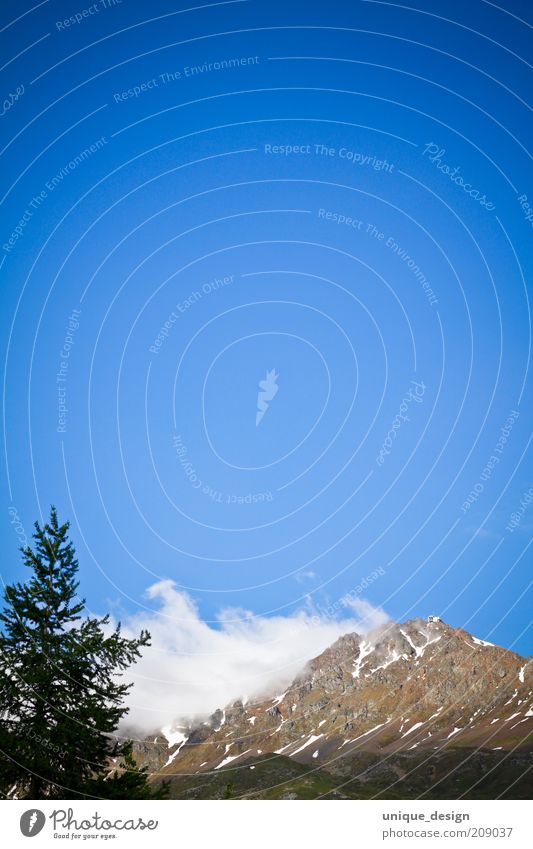 Sky & Mountains (2) Environment Nature Landscape Plant Clouds Summer Beautiful weather Rock Alps Switzerland Colour photo Exterior shot Deserted Copy Space top