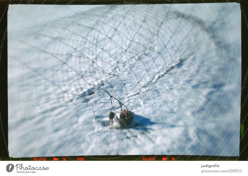 snow fence Nature Winter Snow Exceptional Cold Broken Wire netting Fence Line Reticular Net Colour photo Exterior shot Experimental Deserted Blur