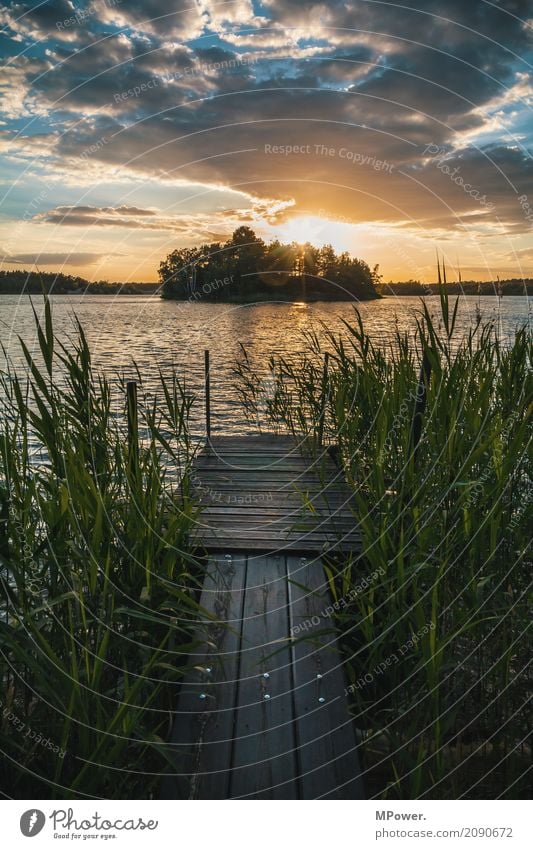 at the old investor Nature Landscape reed Clouds Horizon Sun Summer Beautiful weather Lakeside Bay Fjord Island Swimming & Bathing Footbridge Jetty Waves