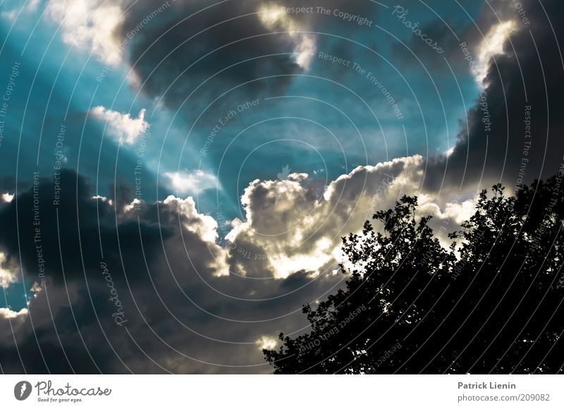 The last rays of the sun Environment Nature Landscape Plant Elements Air Sky Clouds Sunlight Summer Climate Climate change Weather Beautiful weather Wind Tree