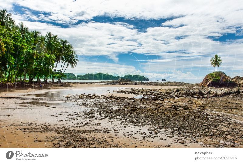 Tropical beach and part of rainforest Joy Vacation & Travel Tourism Adventure Far-off places Beach Ocean Island Nature Landscape Clouds Beautiful weather Tree