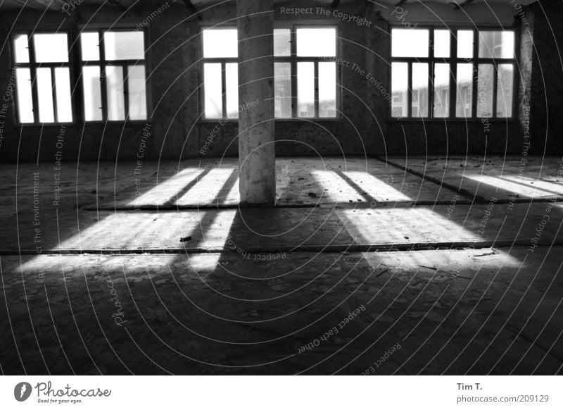 Loft in Berlin House (Residential Structure) Industrial plant Building Window Claustrophobia Central perspective Shaft of light Story Empty Vacancy Uninhabited