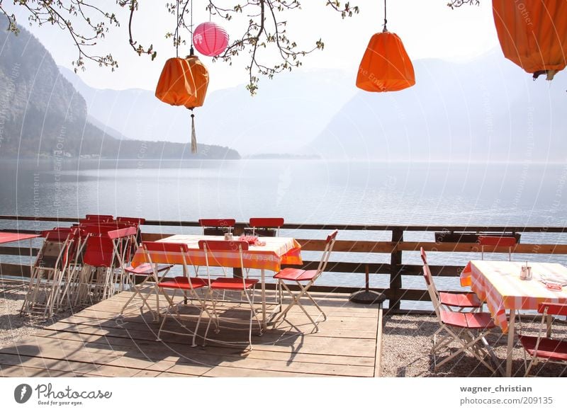 Terrace at the lake Calm Vacation & Travel Tourism Summer Summer vacation Mountain Gastronomy Nature Landscape Beautiful weather Lakeside Lake Hallstatt