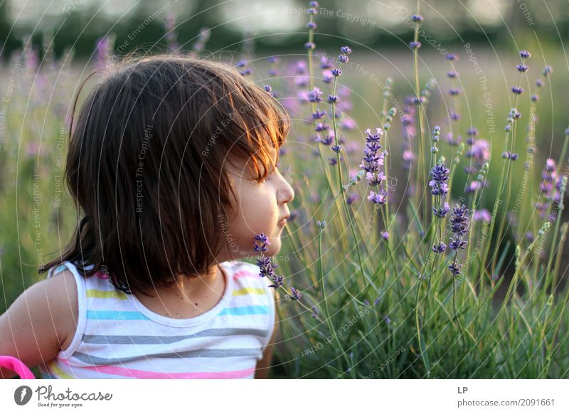 little girl in the lavender garden Lifestyle Joy Alternative medicine Wellness Harmonious Well-being Contentment Senses Relaxation Calm Meditation Fragrance