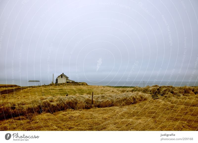 Iceland Environment Nature Landscape Grass Hill Coast Ocean House (Residential Structure) Hut Building Uniqueness Natural Wild Moody Loneliness Idyll Calm