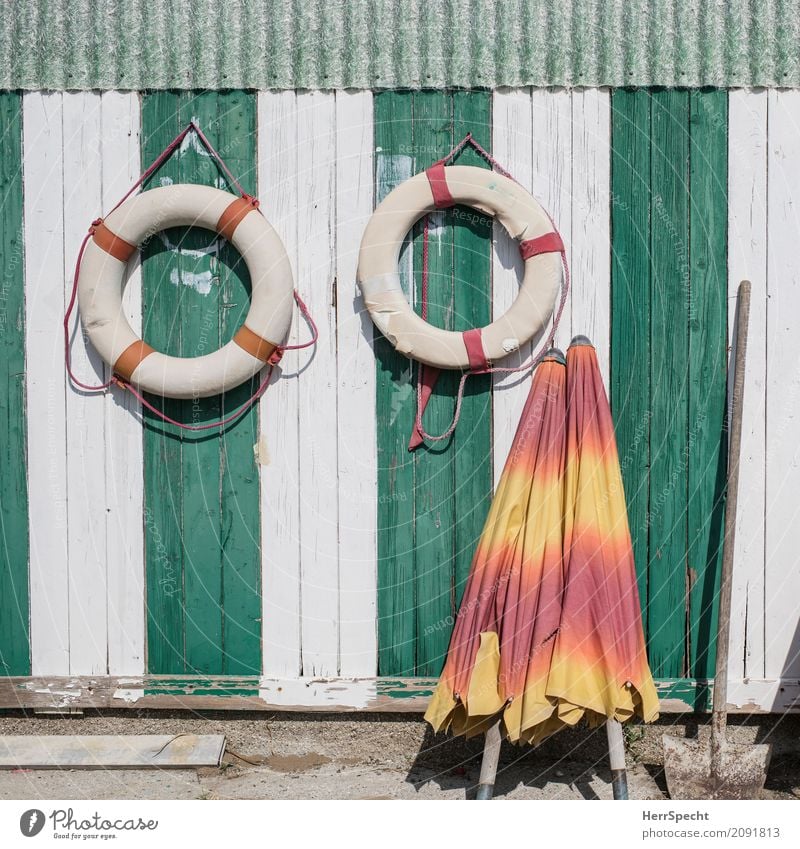 Colori dell'estate Fishing village Port City Building Wall (barrier) Wall (building) Fresh Maritime Green White Summery Summer vacation Life belt Sunshade