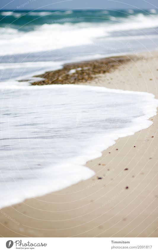 Fabric softener. Environment Nature Landscape Elements Sand Water Sky Beautiful weather Beach North Sea Denmark Stone Simple Natural Blue Brown White Serene