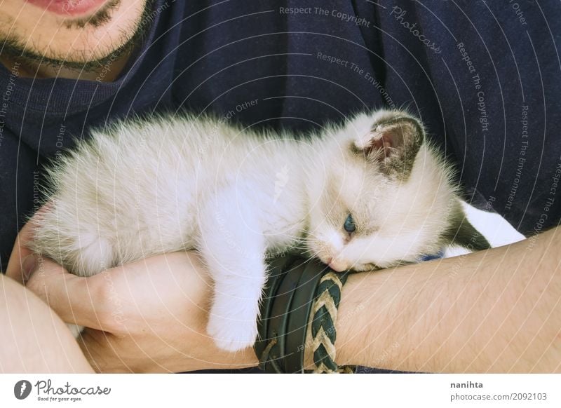 Little kitty tired and lying down over a man's arm Human being Masculine Young man Youth (Young adults) 1 18 - 30 years Adults Animal Pet Cat Baby animal Lie